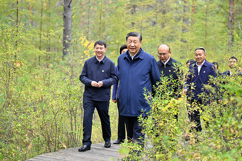 9月6日至8日，中共中央總書記、國家主席、中央軍委主席習近平在黑龍江考察。這是6日下午，習近平在大興安嶺地區(qū)漠河市漠河林場自然林區(qū)考察